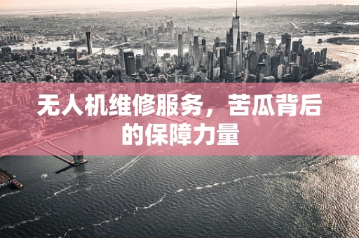 无人机维修服务，苦瓜背后的保障力量
