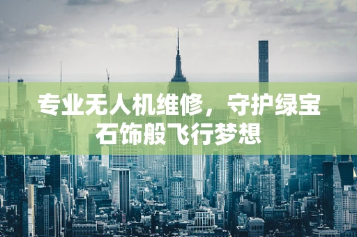 专业无人机维修，守护绿宝石饰般飞行梦想