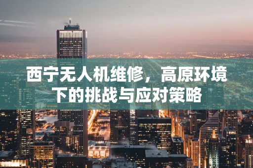 西宁无人机维修，高原环境下的挑战与应对策略