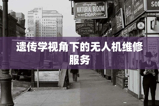 遗传学视角下的无人机维修服务
