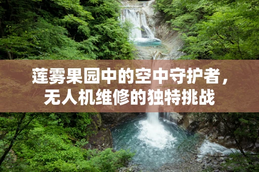 莲雾果园中的空中守护者，无人机维修的独特挑战