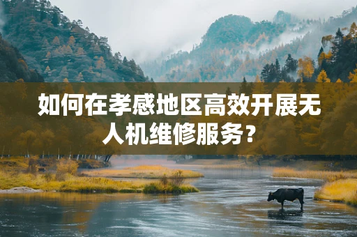如何在孝感地区高效开展无人机维修服务？