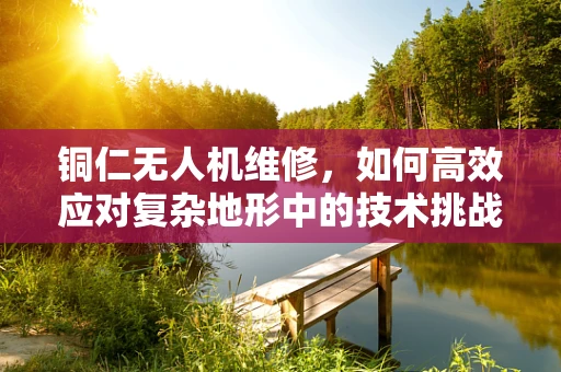 铜仁无人机维修，如何高效应对复杂地形中的技术挑战？