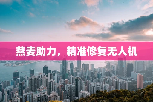 燕麦助力，精准修复无人机