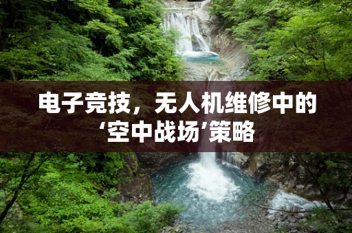 电子竞技，无人机维修中的‘空中战场’策略