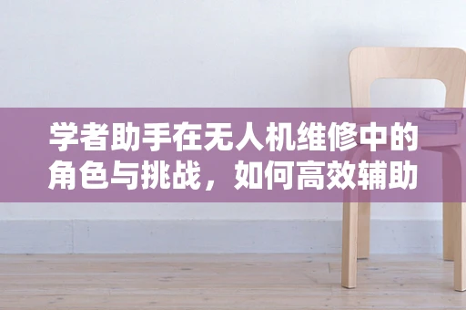 学者助手在无人机维修中的角色与挑战，如何高效辅助技术员？