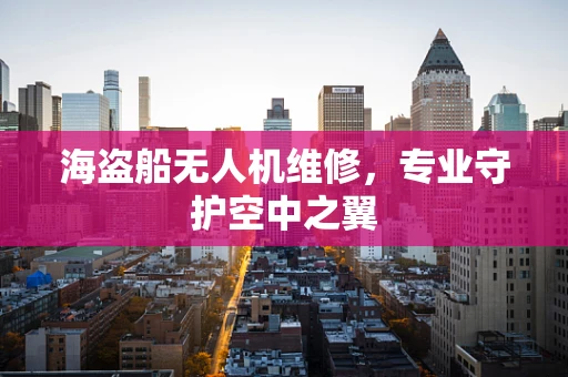 海盗船无人机维修，专业守护空中之翼