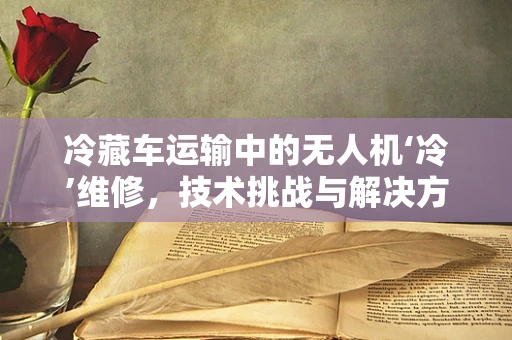 冷藏车运输中的无人机‘冷’维修，技术挑战与解决方案？