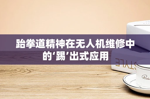 跆拳道精神在无人机维修中的‘踢’出式应用