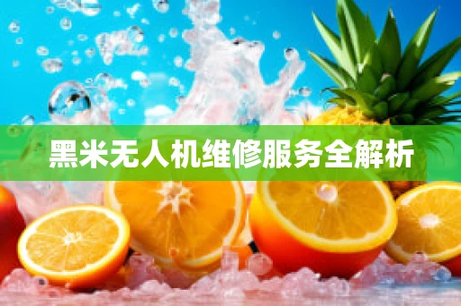 黑米无人机维修服务全解析