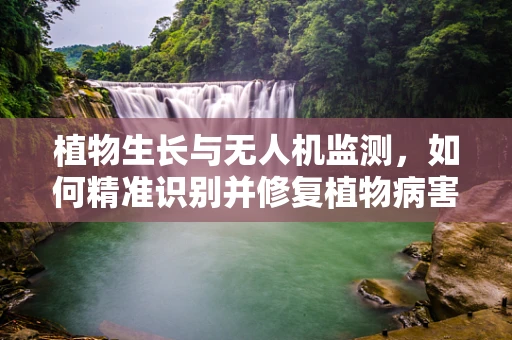 植物生长与无人机监测，如何精准识别并修复植物病害的无人机维修挑战？