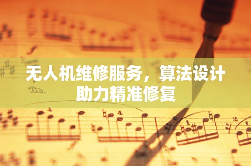 无人机维修服务，算法设计助力精准修复