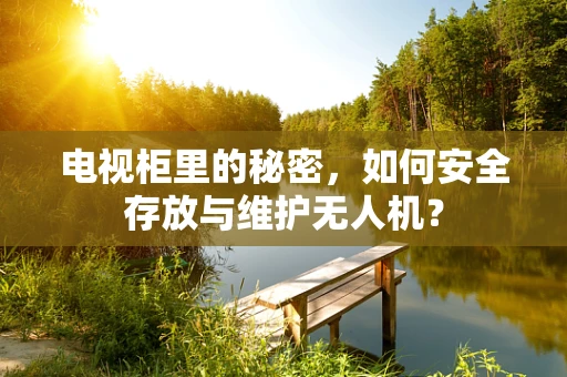 电视柜里的秘密，如何安全存放与维护无人机？