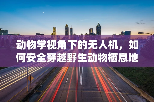 动物学视角下的无人机，如何安全穿越野生动物栖息地？
