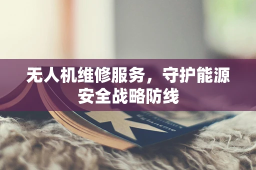 无人机维修服务，守护能源安全战略防线