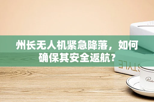 州长无人机紧急降落，如何确保其安全返航？