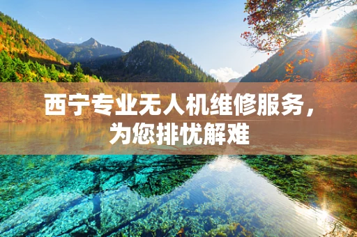 西宁专业无人机维修服务，为您排忧解难