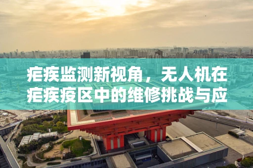疟疾监测新视角，无人机在疟疾疫区中的维修挑战与应对策略
