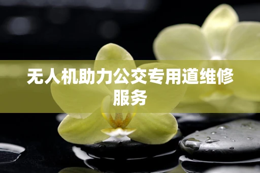 无人机助力公交专用道维修服务