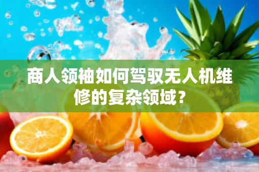 商人领袖如何驾驭无人机维修的复杂领域？