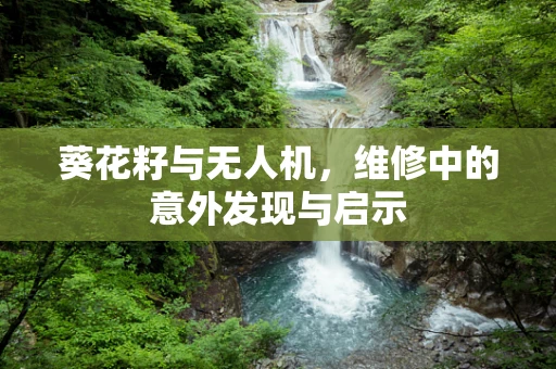 葵花籽与无人机，维修中的意外发现与启示