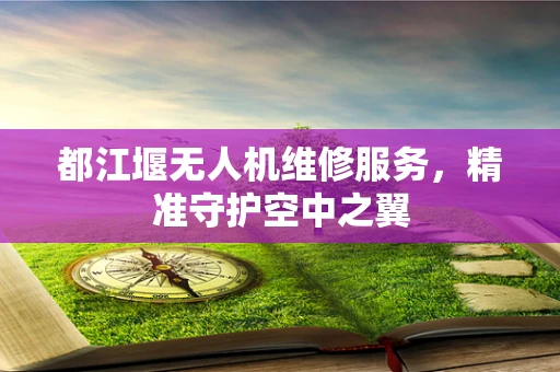 都江堰无人机维修服务，精准守护空中之翼
