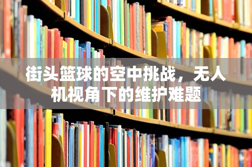 街头篮球的空中挑战，无人机视角下的维护难题