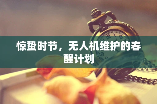 惊蛰时节，无人机维护的春醒计划