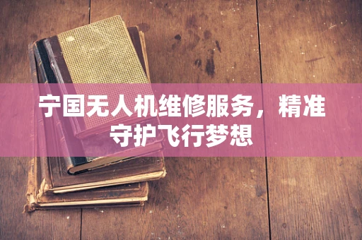 宁国无人机维修服务，精准守护飞行梦想