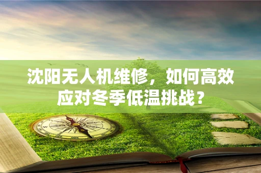 沈阳无人机维修，如何高效应对冬季低温挑战？