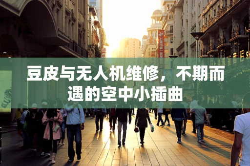 豆皮与无人机维修，不期而遇的空中小插曲