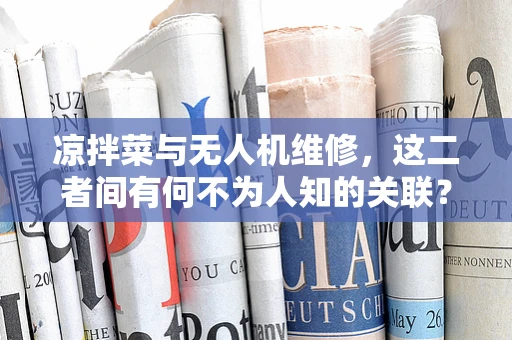 凉拌菜与无人机维修，这二者间有何不为人知的关联？