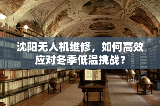 沈阳无人机维修，如何高效应对冬季低温挑战？