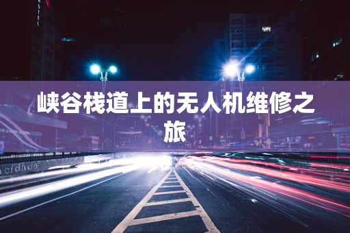 峡谷栈道上的无人机维修之旅