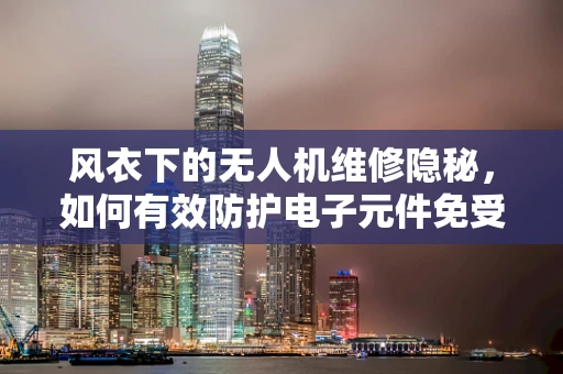 风衣下的无人机维修隐秘，如何有效防护电子元件免受雨水侵袭？
