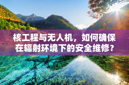 核工程与无人机，如何确保在辐射环境下的安全维修？