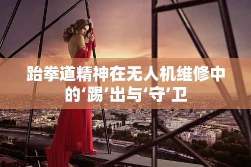 跆拳道精神在无人机维修中的‘踢’出与‘守’卫
