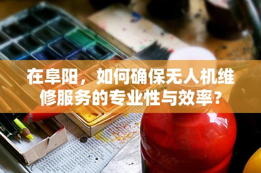 在阜阳，如何确保无人机维修服务的专业性与效率？