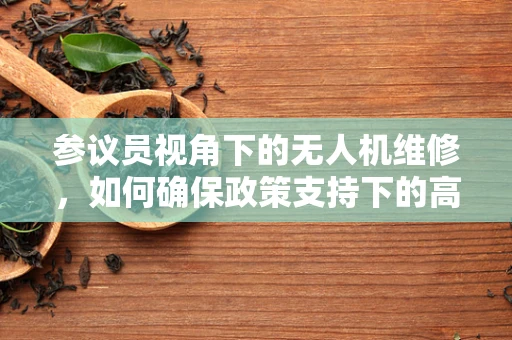 参议员视角下的无人机维修，如何确保政策支持下的高效与安全？