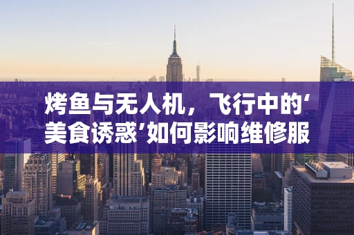 烤鱼与无人机，飞行中的‘美食诱惑’如何影响维修服务？
