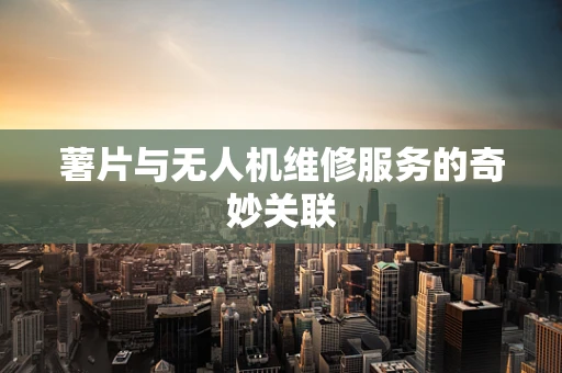 薯片与无人机维修服务的奇妙关联