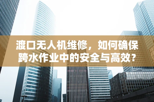 渡口无人机维修，如何确保跨水作业中的安全与高效？
