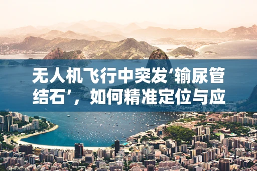 无人机飞行中突发‘输尿管结石’，如何精准定位与应急处理？