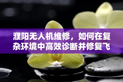 濮阳无人机维修，如何在复杂环境中高效诊断并修复飞行故障？