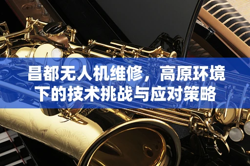 昌都无人机维修，高原环境下的技术挑战与应对策略
