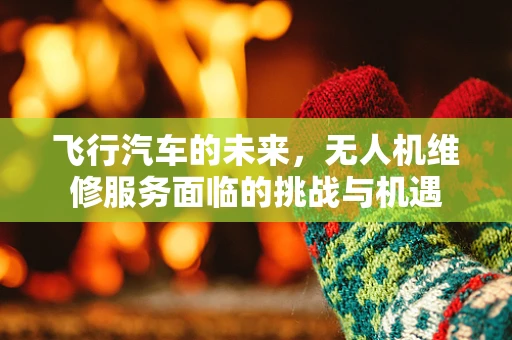 飞行汽车的未来，无人机维修服务面临的挑战与机遇