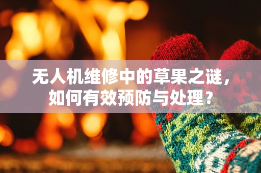 无人机维修中的草果之谜，如何有效预防与处理？