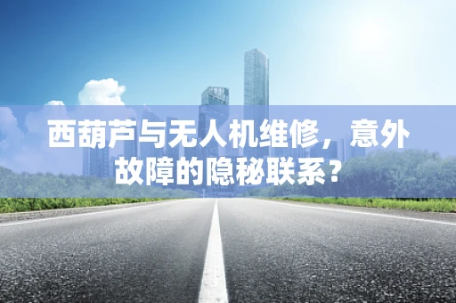西葫芦与无人机维修，意外故障的隐秘联系？