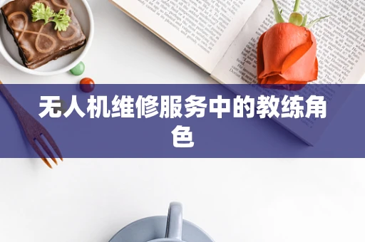 无人机维修服务中的教练角色