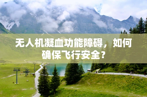 无人机凝血功能障碍，如何确保飞行安全？